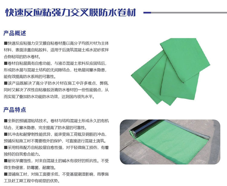 快速反應粘強力交叉膜防水卷材(圖1)