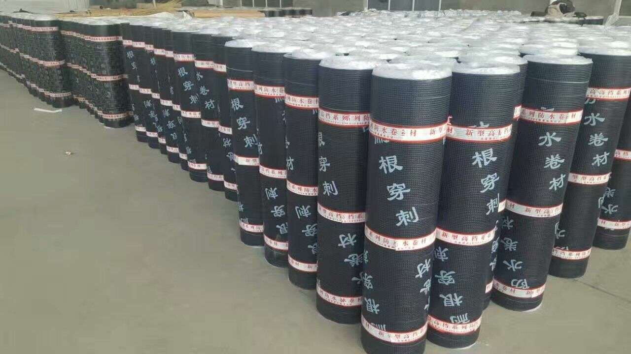 耐根穿刺防水卷材(圖3)